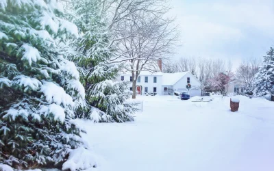 Snowy Streets, Warm Homes: Navigating the Detroit Lakes Winter Real Estate Market