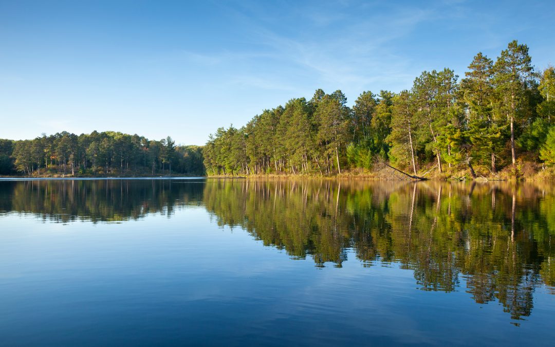 The Heart of the Lakes: Exploring Detroit Lakes Neighborhoods with Action Realty
