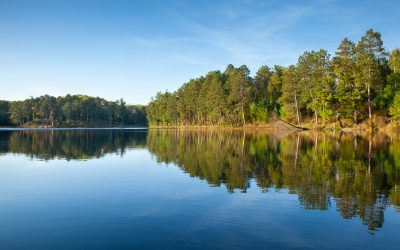 The Heart of the Lakes: Exploring Detroit Lakes Neighborhoods with Action Realty